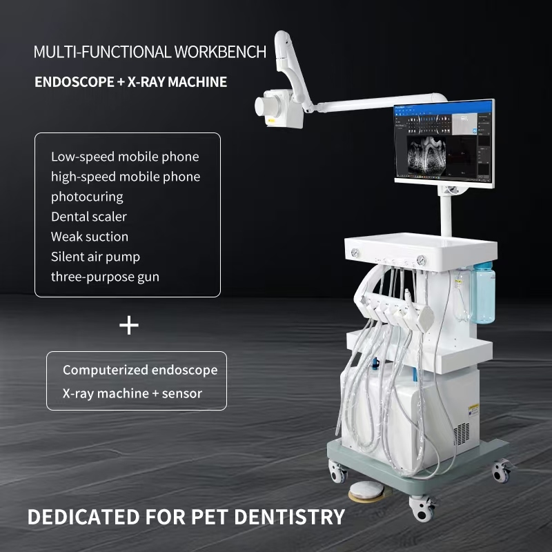 Multi functional workbench