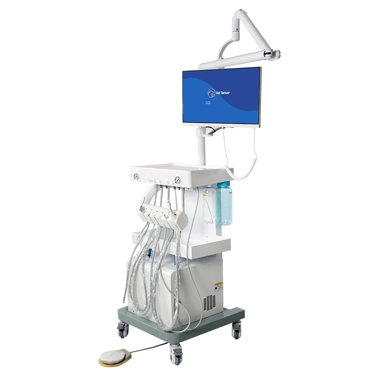 All-in-One Multifunctional Veterinary Workstation